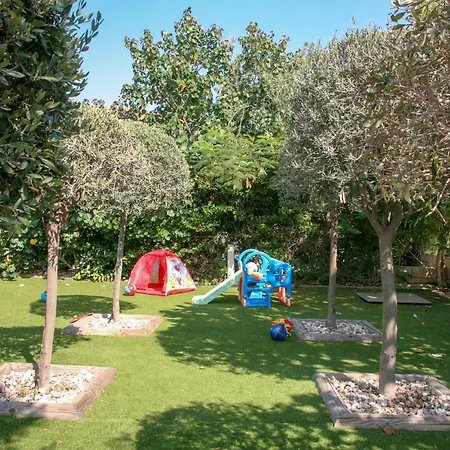 The Olive Tree *